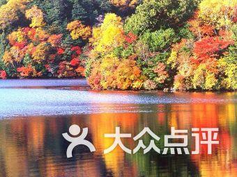 竞技宝如何